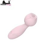 Blushing Pleasure Mini Rose Vibrator In Pakistan