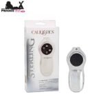 Calexotics Sterling Collection In Pakistan