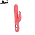Enchanted Exciter Rabbit Vibrator In Pakistan
