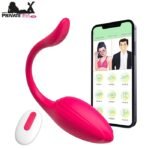 Thong Panty Wearable Vibrator Adult Sex Toys For Women In Pakistan