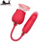 Blushing Pleasure Mini Rose Vibrator In Pakistan