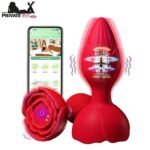 9 Vibration Modes Remote Control Rose Butt Plug In Pakistan